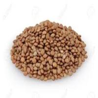 Brown Lentils 300g