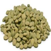Green Lentils 300g