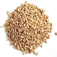 Pearl Barley 350g