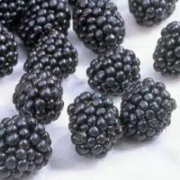 Blackberry Punnet 125g