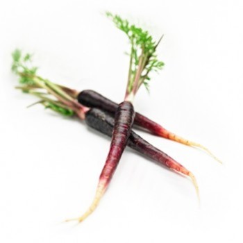 Baby Purple Carrot 475g
