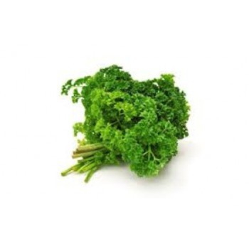 Curly Leaf Parsley 50g