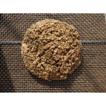 Essene Bread (4)