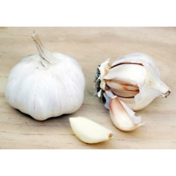Garlic 3 pack