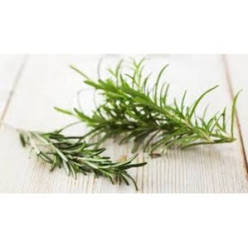 Rosemary 50g
