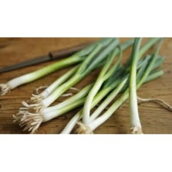 Spring Onion Bunch - SPECIAL