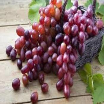 Red Grape Punnet