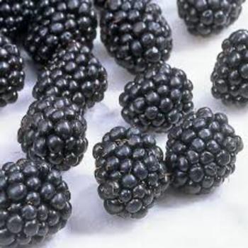 Blackberry Punnet 125g