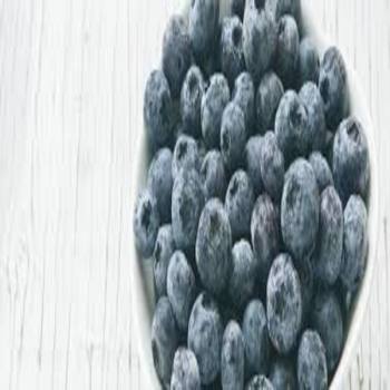 Frozen Blueberries kg