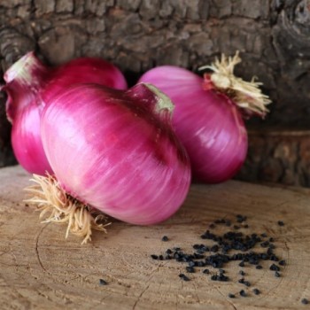 Red Onion- ( Meduim-Large) KG