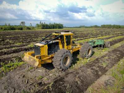 Improve silviculture efficiencies with the Tigercat 630H utility carrier