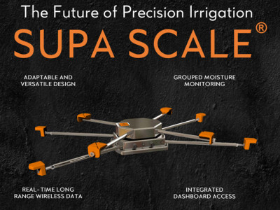 Precision irrigation in forest nurseries using the SUPA SCALE ® system