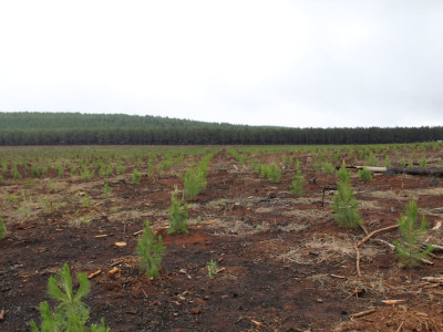 HxGN AgrOn Planting Assistant 