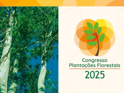 Forest Plantation Congress Brings Together Experts and Strengthens International Partnerships