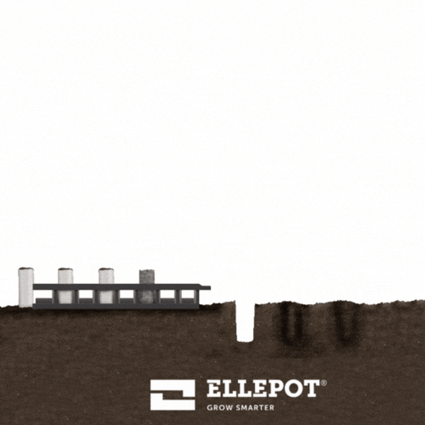Ellepot Slider