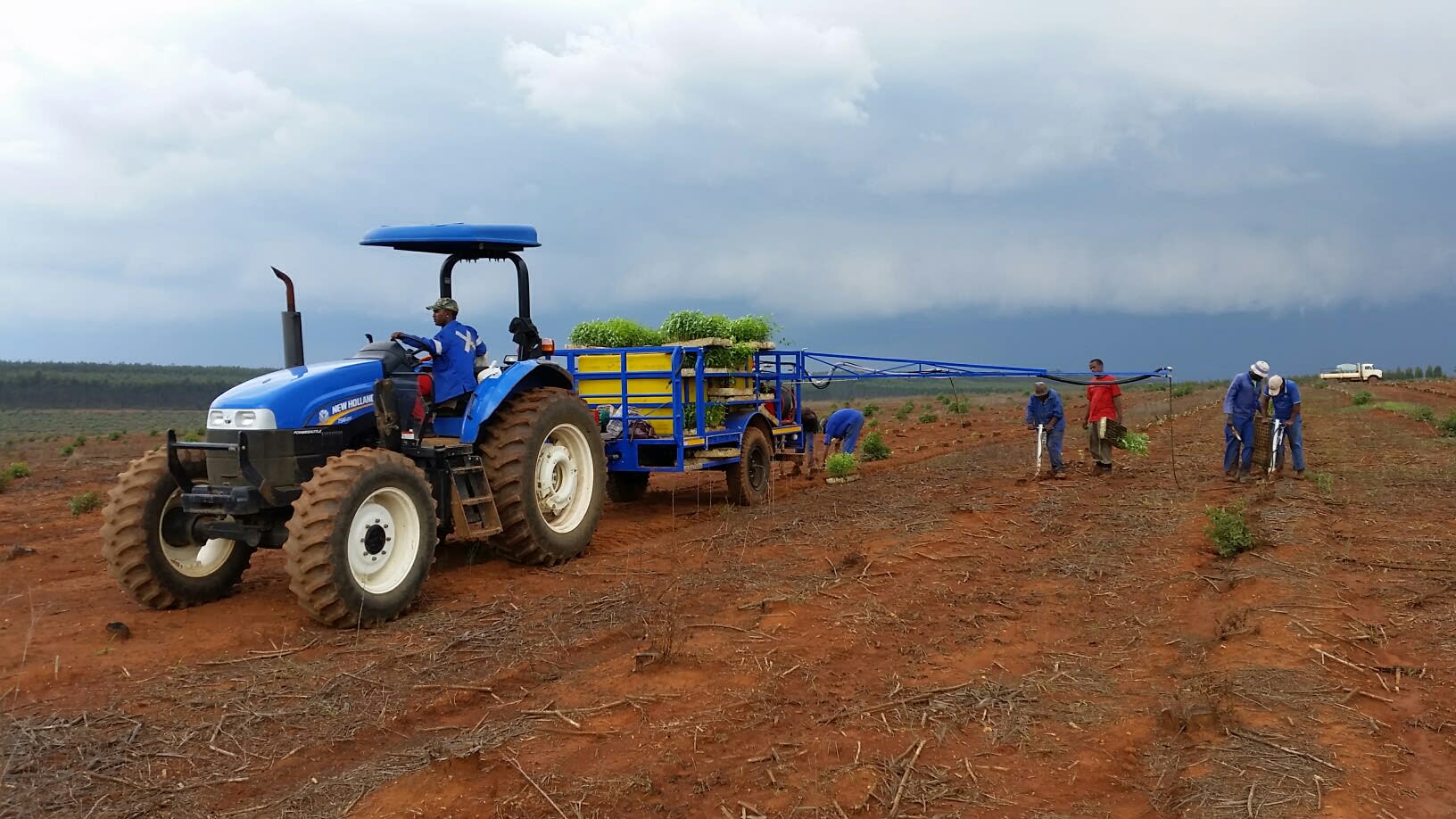 HIGH PRESSURE WATER PLANTING WITH MP3000