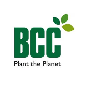 BCC Articles Advert