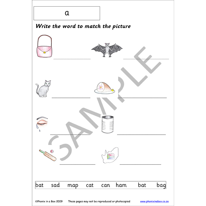 Grade 1 Phonic Workbook (Primary Font) Phonix In A Box