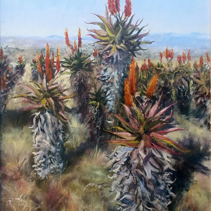 WINTER VELDT, EASTERN CAPE (SASA, highly commended certificate)