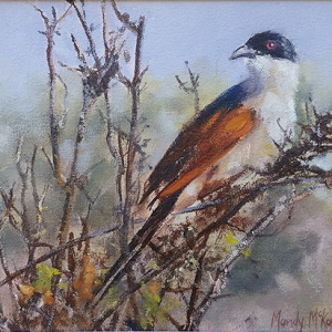 THE RAIN BIRD