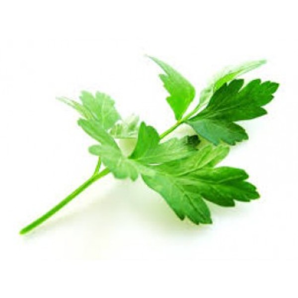 Buy Herbs online with delivery anywhere in the Garden Route, South Africa