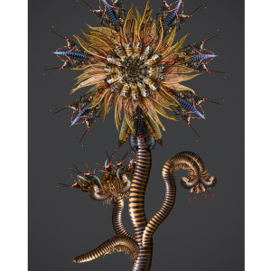 Flora-insectora centipediana