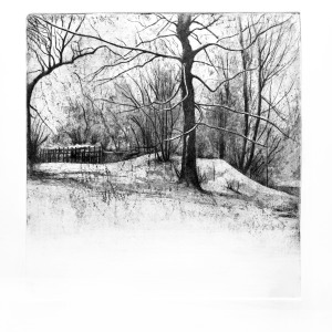 Mugdock snow series I