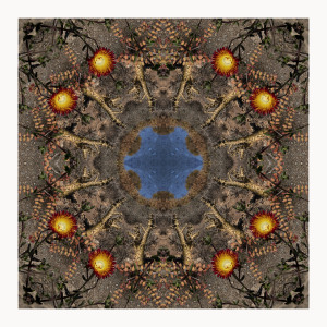Botterbomberg  Kaleidoscope