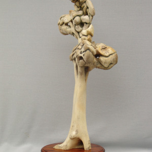 Southern Tree point North