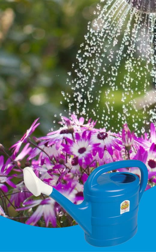 Caprichem products - Gardening Tools