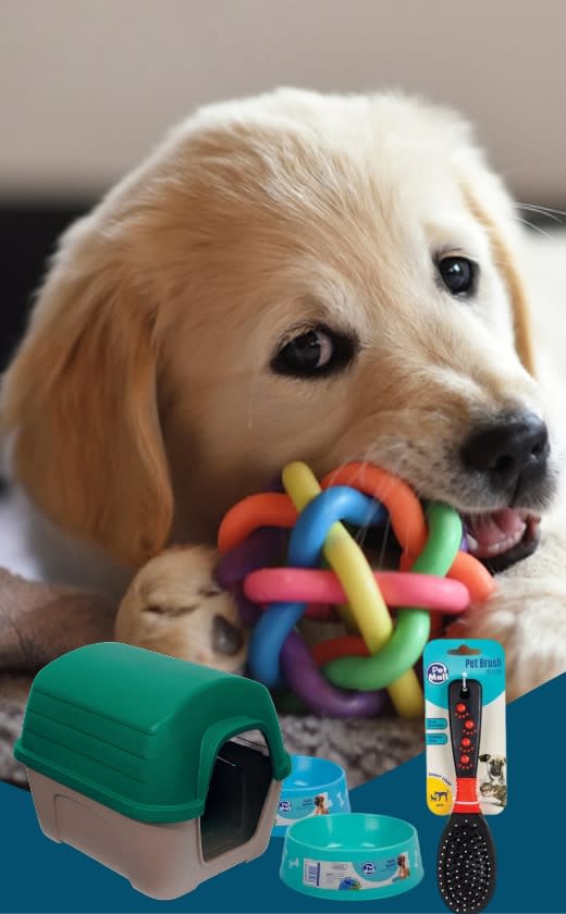 Caprichem products - Pet Toys, Brushes, Litter Pans, Kennels etc.