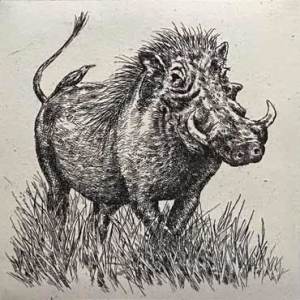 Warthog