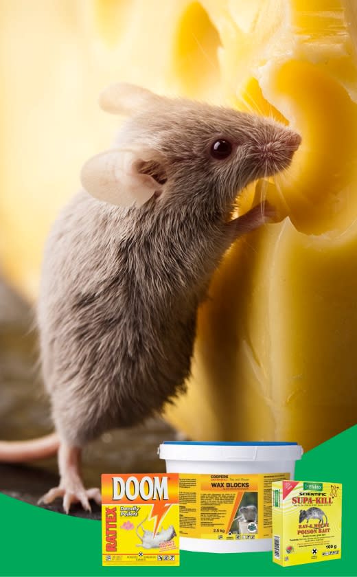 Caprichem products - Rodent Pest Control