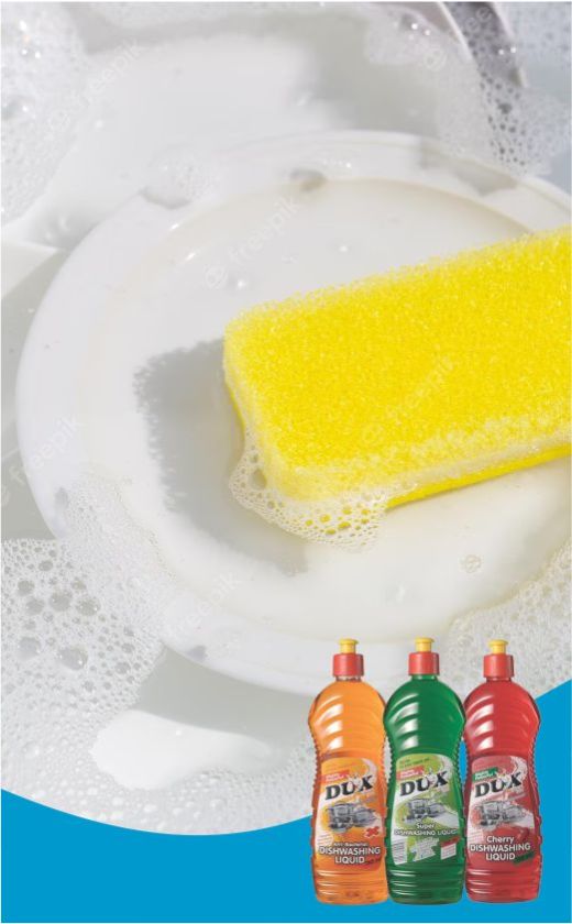 Caprichem products - 05. Retail Dishwashing Liquids