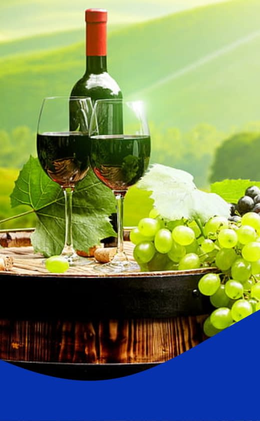Caprichem products - Wine Cleaning Products