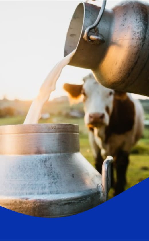Caprichem products - Dairy Cleaning Products