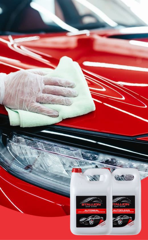Caprichem products - 14. Car Protectors