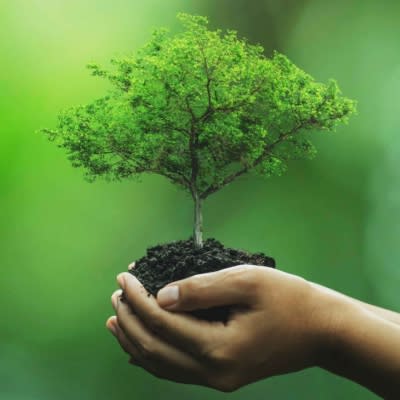 Caprichem - 02. Eco-Friendly