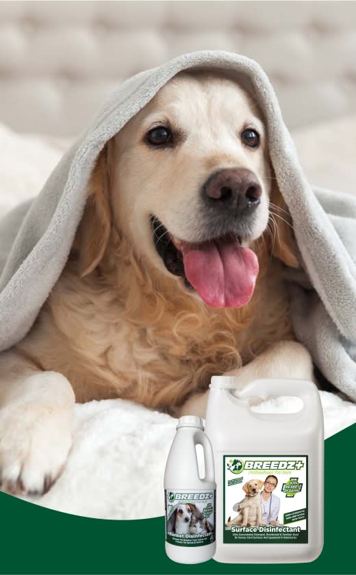 Caprichem products - Disinfectants