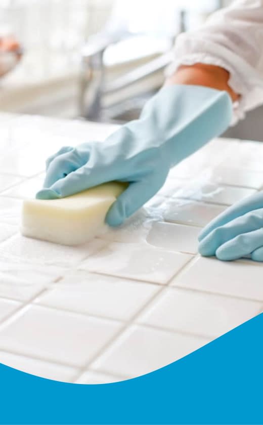 Caprichem products - All Purpose Cleaners