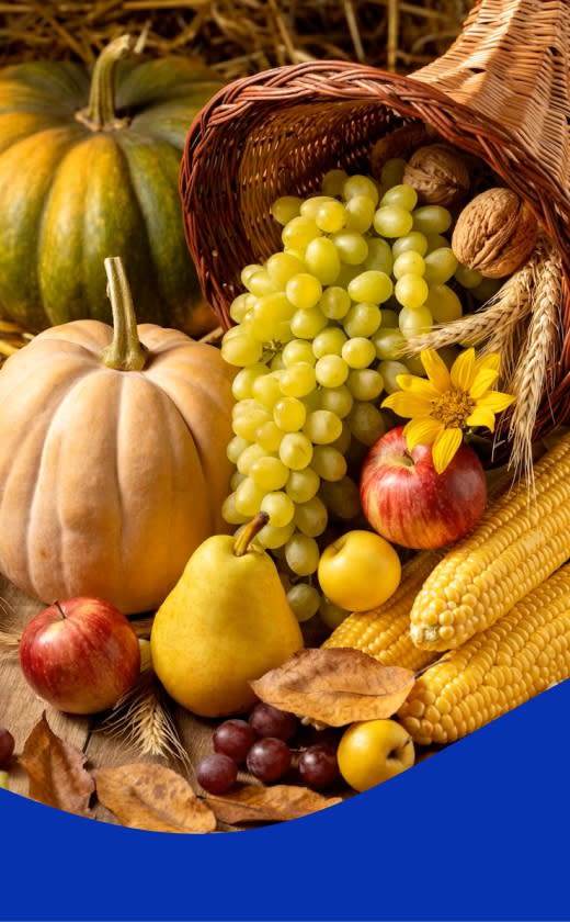 Caprichem products - Fruit & Vegetable Processing Cleaning Products