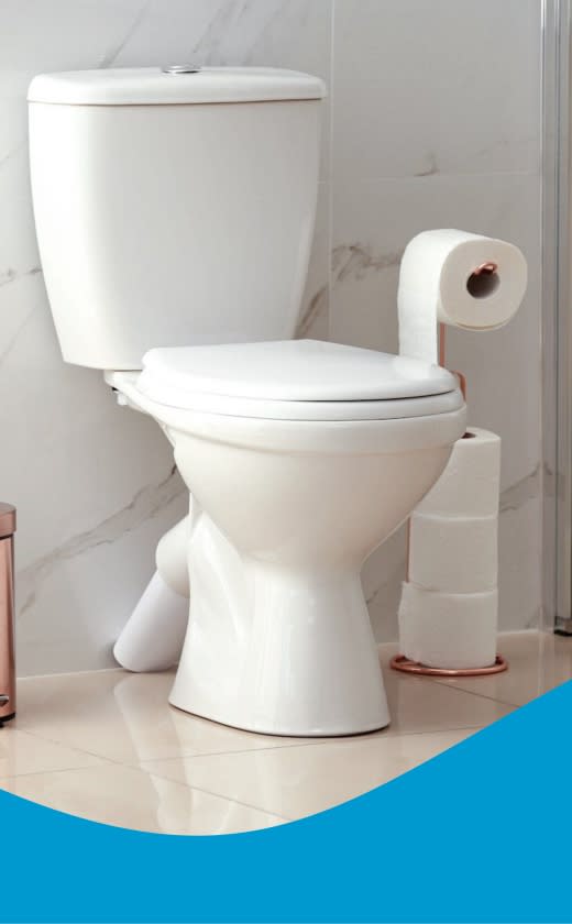 Caprichem products - 10. Retail Toilet Cleaners