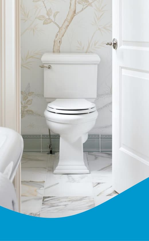 Caprichem products - 11. Toilet Disinfectants