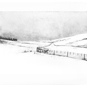 Muckdog snow series 4