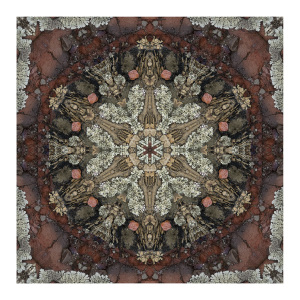 Lichen-lace Kaleidoscope