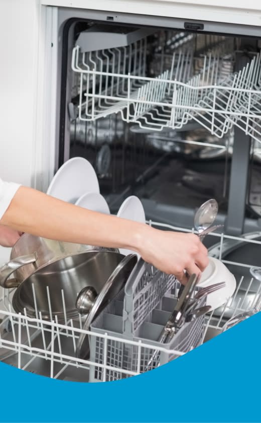 Caprichem products - 06. Retail Dishwash Machine Detergents