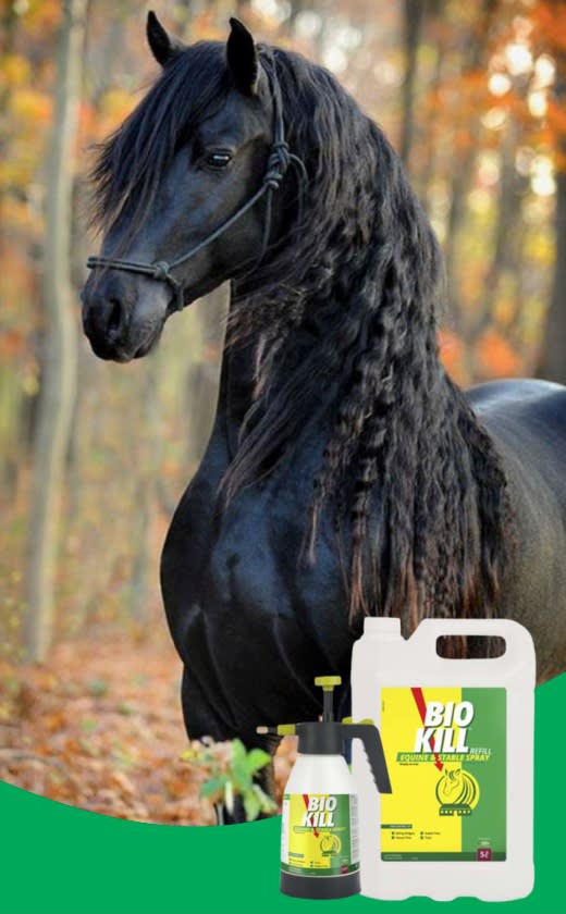 Caprichem products - Equine & Stable Spray