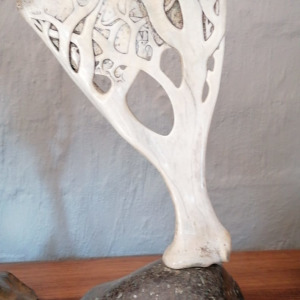 The owl and the Pussycat