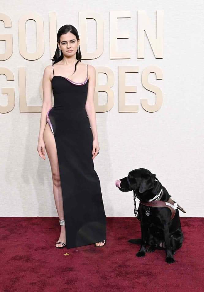 Aria Mia Loberti and her guide dog who is a black Labrador retriever are posing on the red carpet in front of a sign that reads 'Golden Globes.'