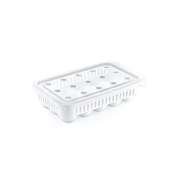 Related Products - Eggstorer Storage Box 15 Pcs EACH